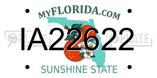 IA22622 Florida License Plate