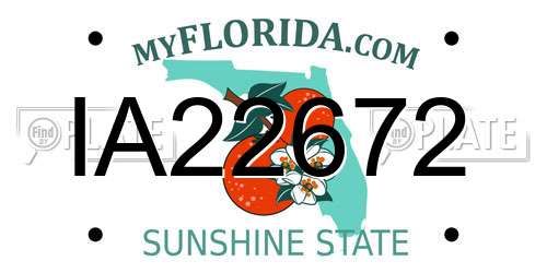 IA22672 Florida License Plate