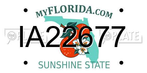 IA22677 Florida License Plate