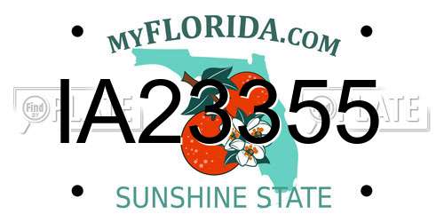 IA23355 Florida License Plate