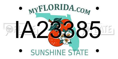 IA23385 Florida License Plate