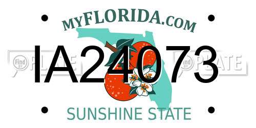 IA24073 Florida License Plate