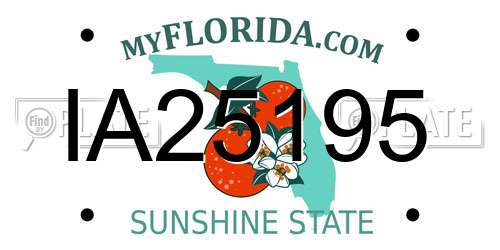 IA25195 Florida License Plate