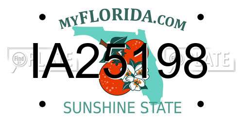 IA25198 Florida License Plate