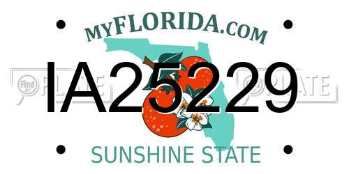IA25229 Florida License Plate