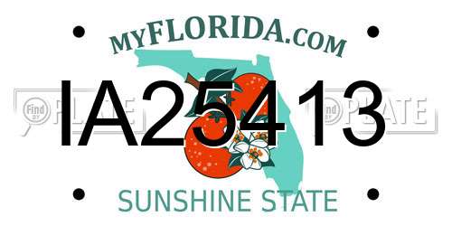IA25413 Florida License Plate