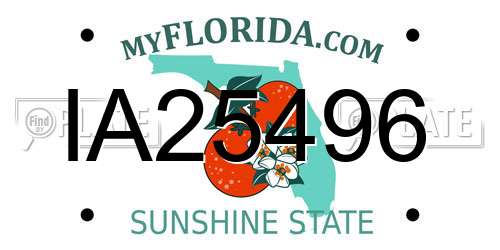 IA25496 Florida License Plate