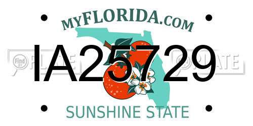 IA25729 Florida License Plate