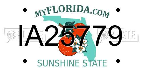 IA25779 Florida License Plate
