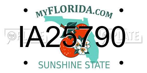 IA25790 Florida License Plate