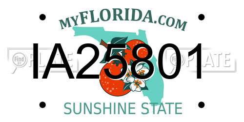 IA25801 Florida License Plate