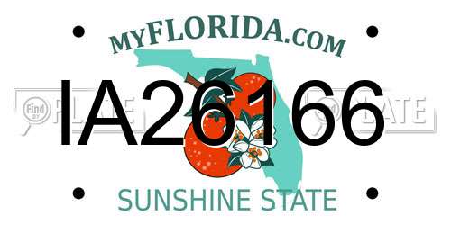 IA26166 Florida License Plate