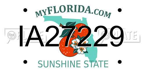 IA27229 Florida License Plate