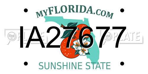 IA27677 Florida License Plate