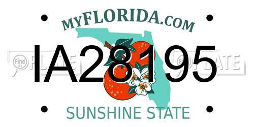 IA28195 Florida License Plate