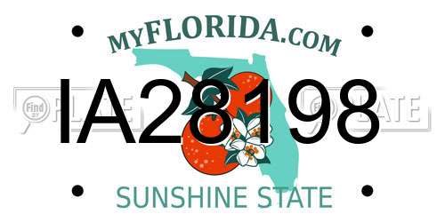 IA28198 Florida License Plate