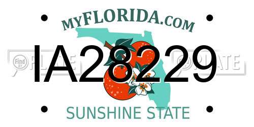 IA28229 Florida License Plate