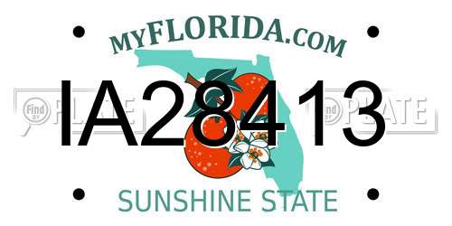 IA28413 Florida License Plate