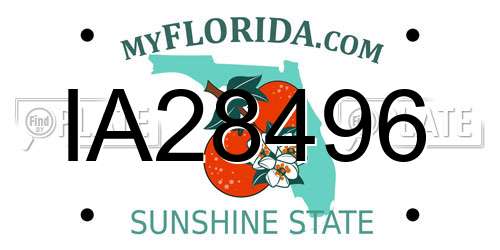 IA28496 Florida License Plate