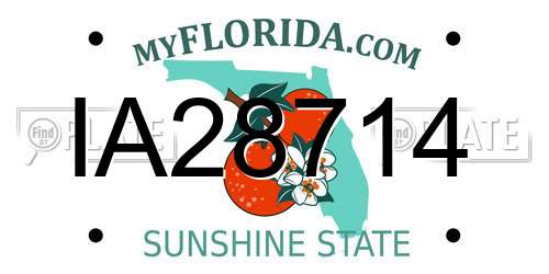 IA28714 Florida License Plate