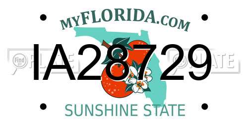 IA28729 Florida License Plate