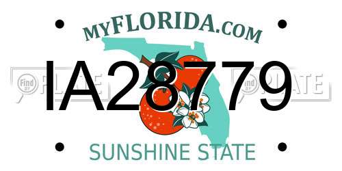 IA28779 Florida License Plate