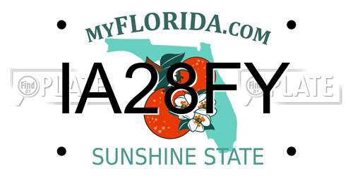 IA28FY Florida License Plate