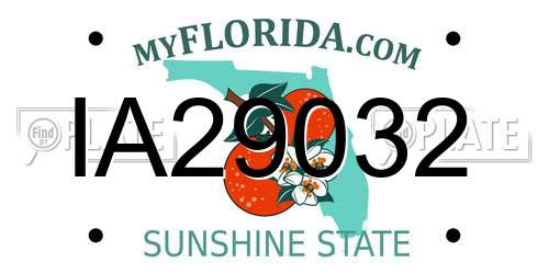 IA29032 Florida License Plate