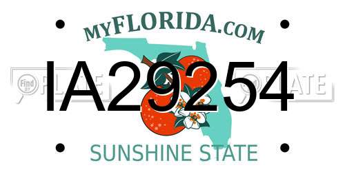 IA29254 Florida License Plate