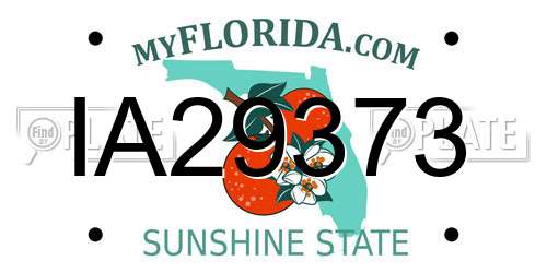 IA29373 Florida License Plate