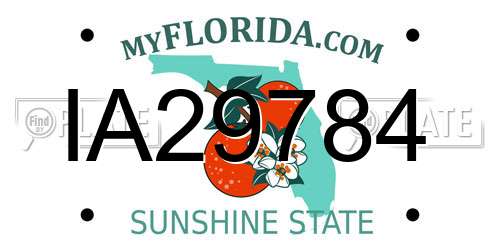 IA29784 Florida License Plate