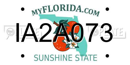 IA2A073 Florida License Plate