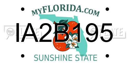 IA2B195 Florida License Plate