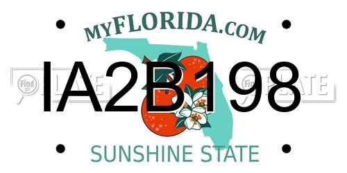 IA2B198 Florida License Plate