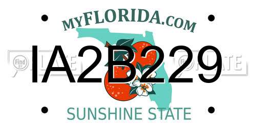 IA2B229 Florida License Plate