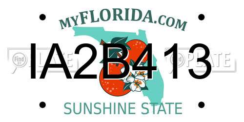 IA2B413 Florida License Plate