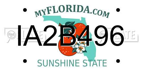 IA2B496 Florida License Plate