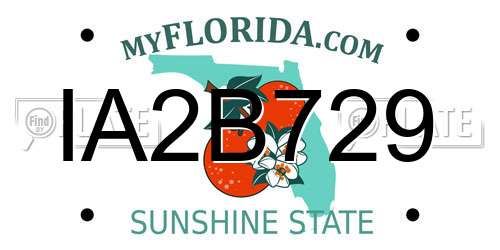 IA2B729 Florida License Plate