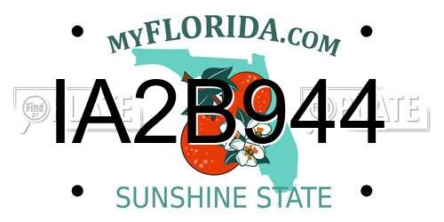 IA2B944 Florida License Plate