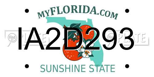 IA2D293 Florida License Plate