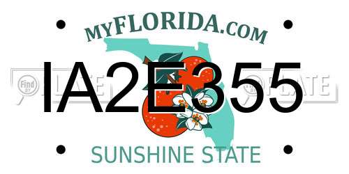 IA2E355 Florida License Plate