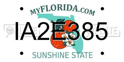 IA2E385 Florida License Plate