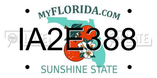 IA2E388 Florida License Plate