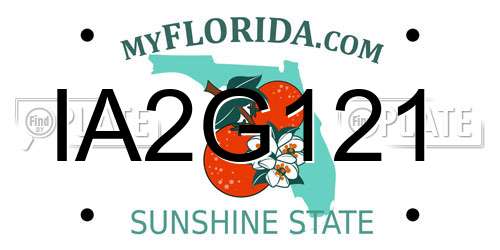 IA2G121 Florida License Plate