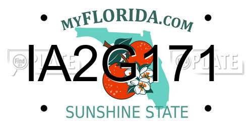IA2G171 Florida License Plate