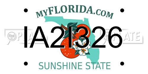 IA2I326 Florida License Plate