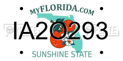 IA2O293 Florida License Plate