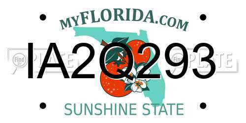 IA2Q293 Florida License Plate