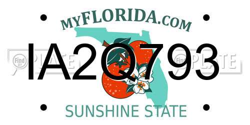 IA2Q793 Florida License Plate