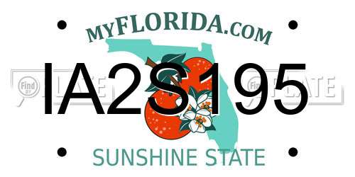 IA2S195 Florida License Plate